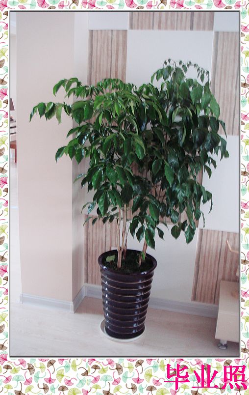 nEO_IMG_DSC03184.jpg