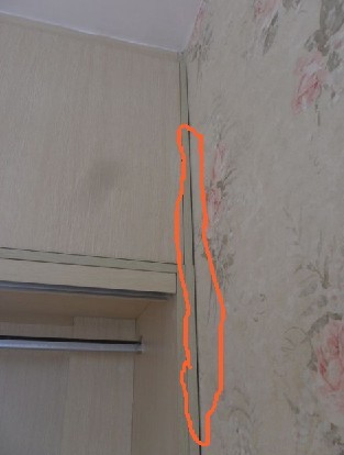δ1.jpg