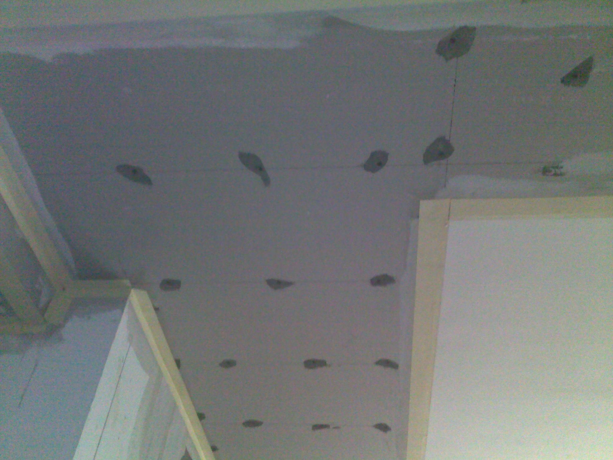 20120218520.jpg