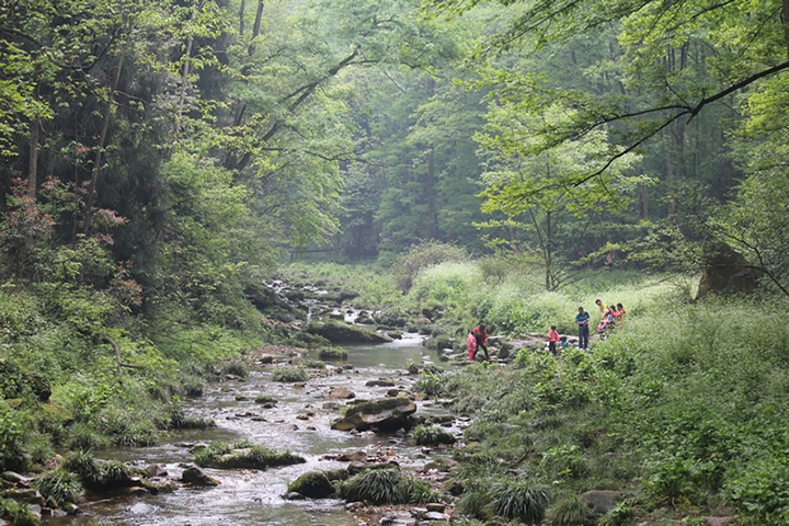 魅力湘西-张家界-韶山 - 安庆摄影 - 安庆e网生活