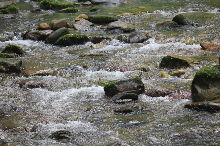 魅力湘西-张家界-韶山 - 安庆摄影 - 安庆e网生活