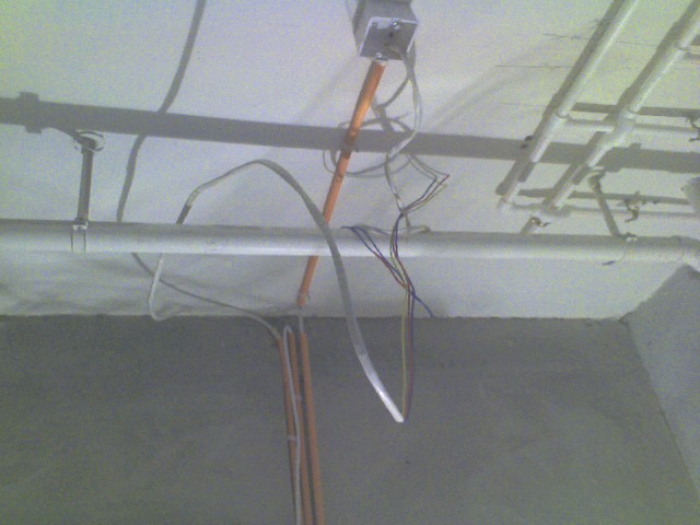 img017.jpg