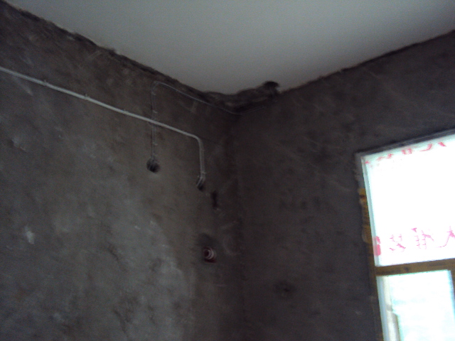 DSC09024.JPG
