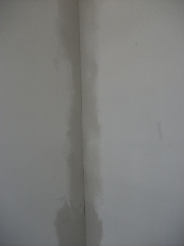 DSCF1369_.jpg