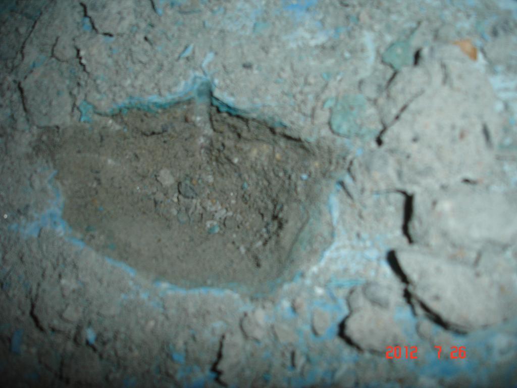 DSC00280.JPG