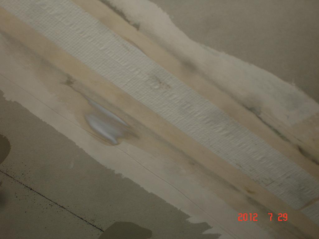 DSC00290.JPG