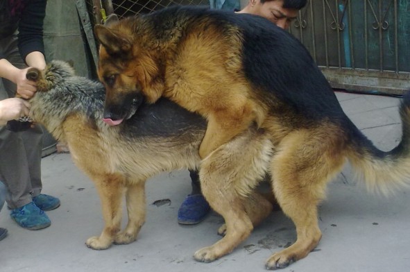 是否算强--? - 宿松快讯-宿松 百姓 论坛