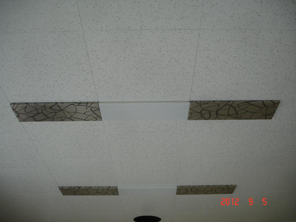 DSC00520.JPG