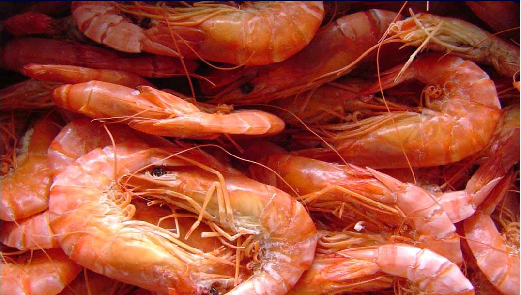 海鲜干货批发店_海鲜干货图片及名称_海鲜干货批发价格