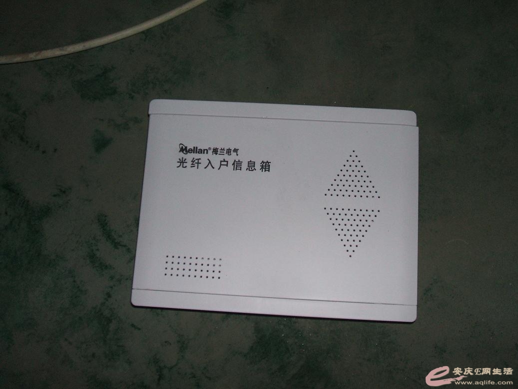 DSCF1952.JPG