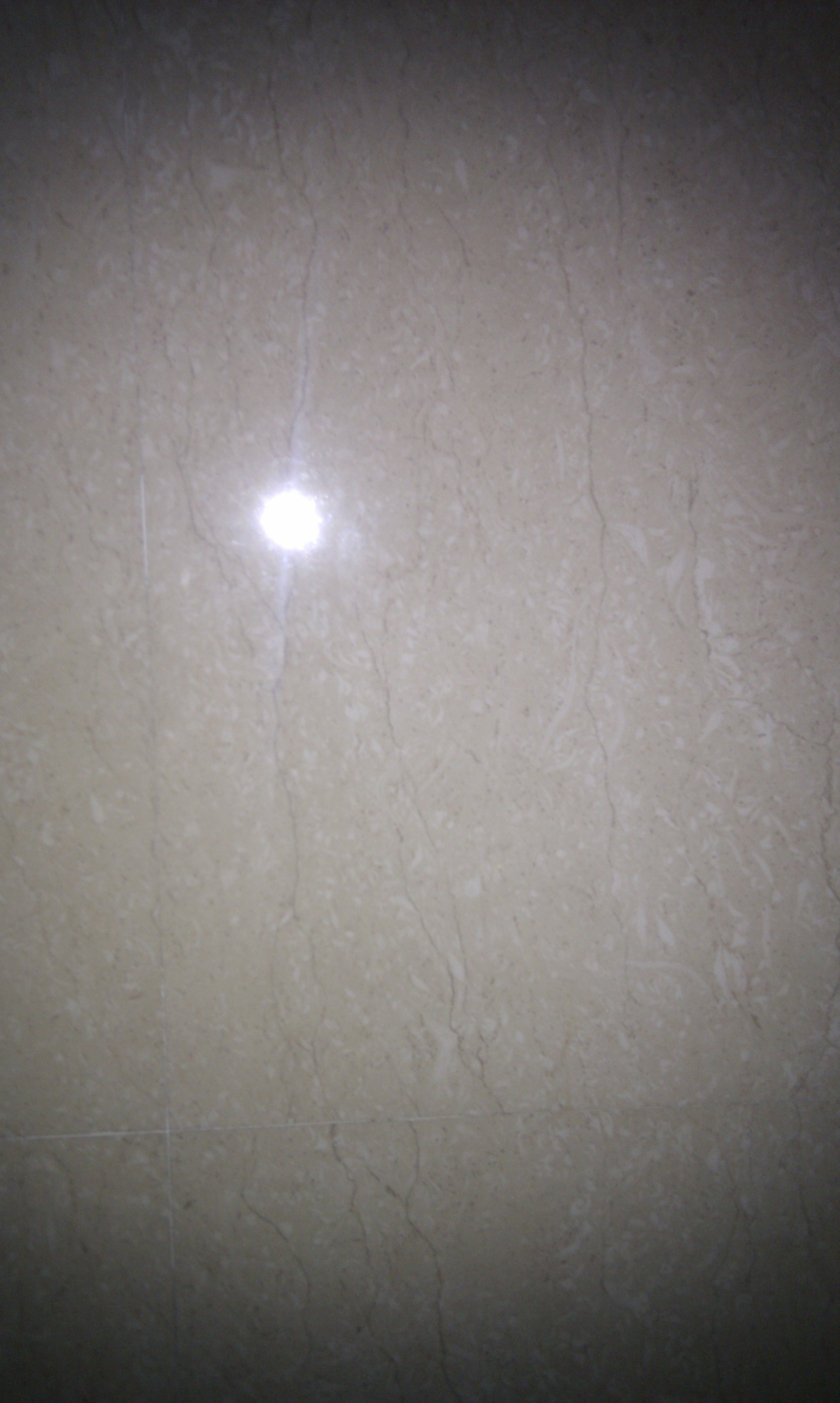 IMG_20130402_005744_1.jpg