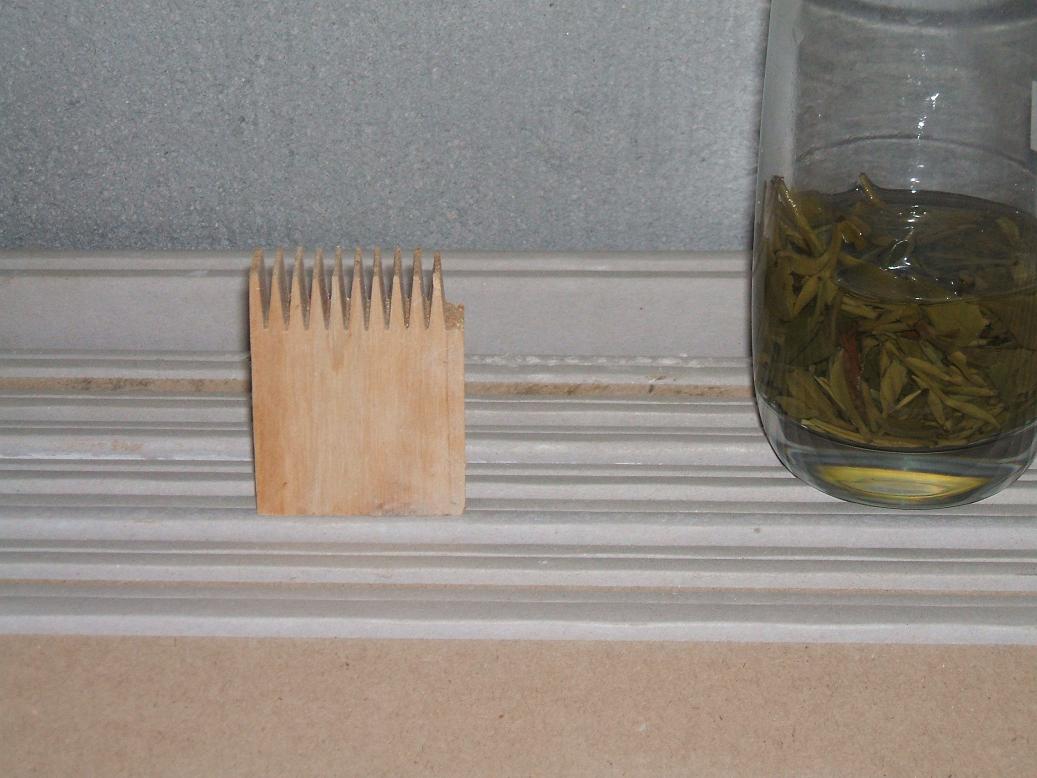 DSCF2111.JPG