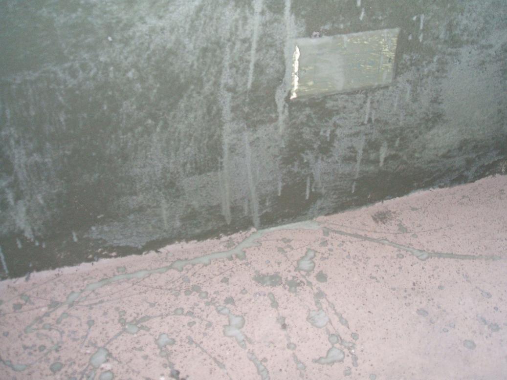 DSCF2318.JPG