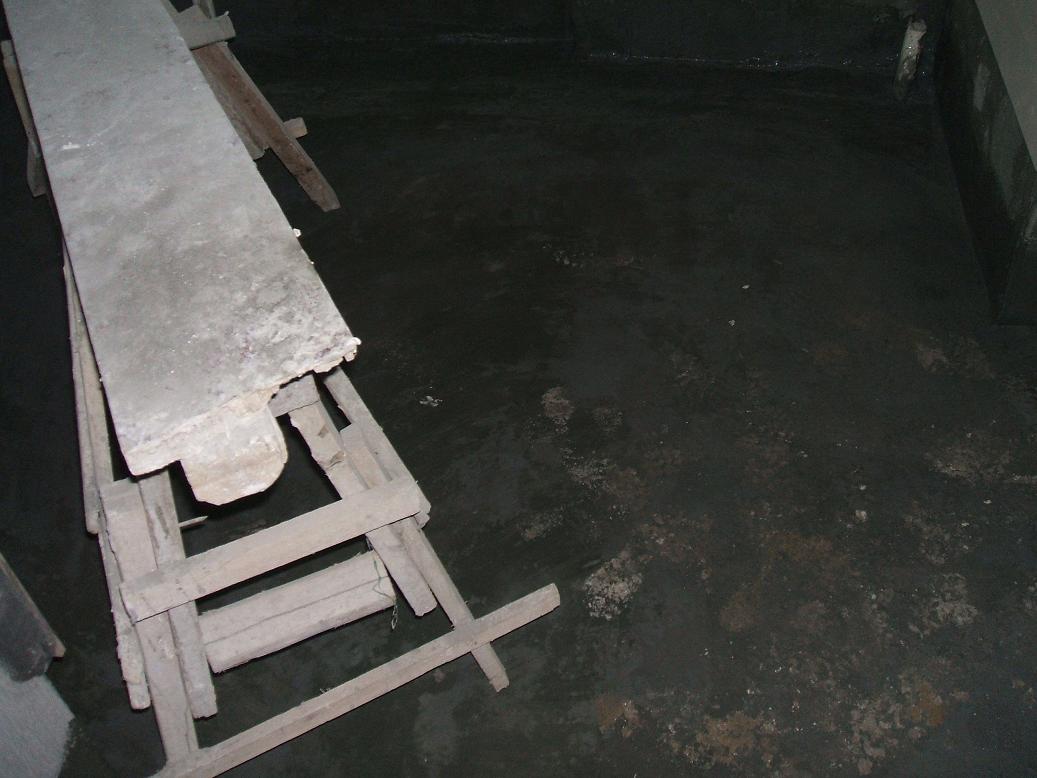 DSCF2392.JPG
