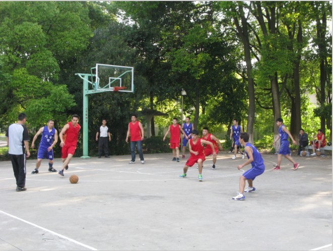 49.jpg
