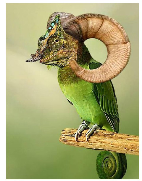 转贴:你所不知道的转基因食品的危害