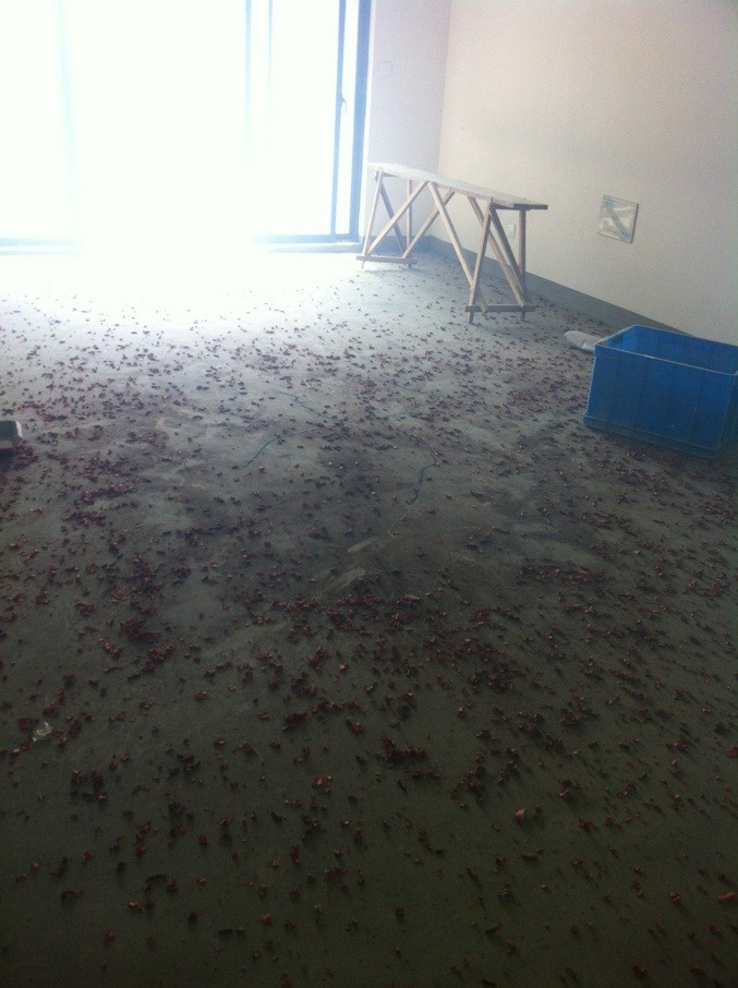 QQͼƬ20130609103259.jpg