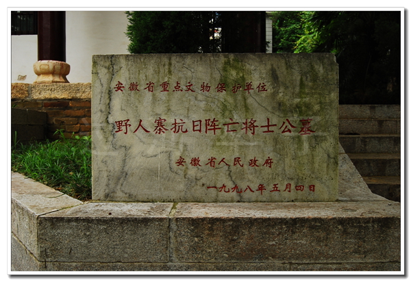 DSC_5913.jpg