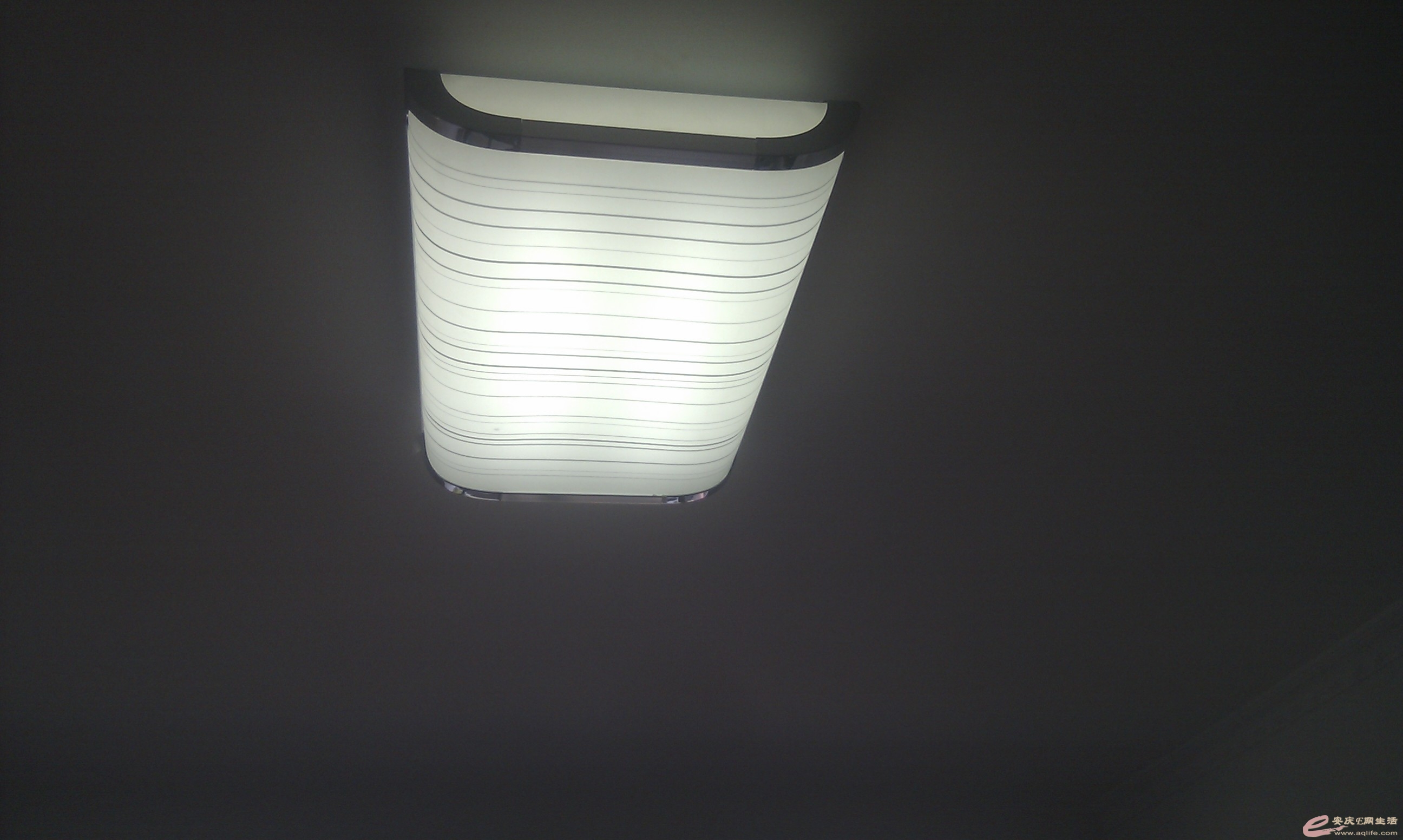 IMG_20130710_155819.jpg