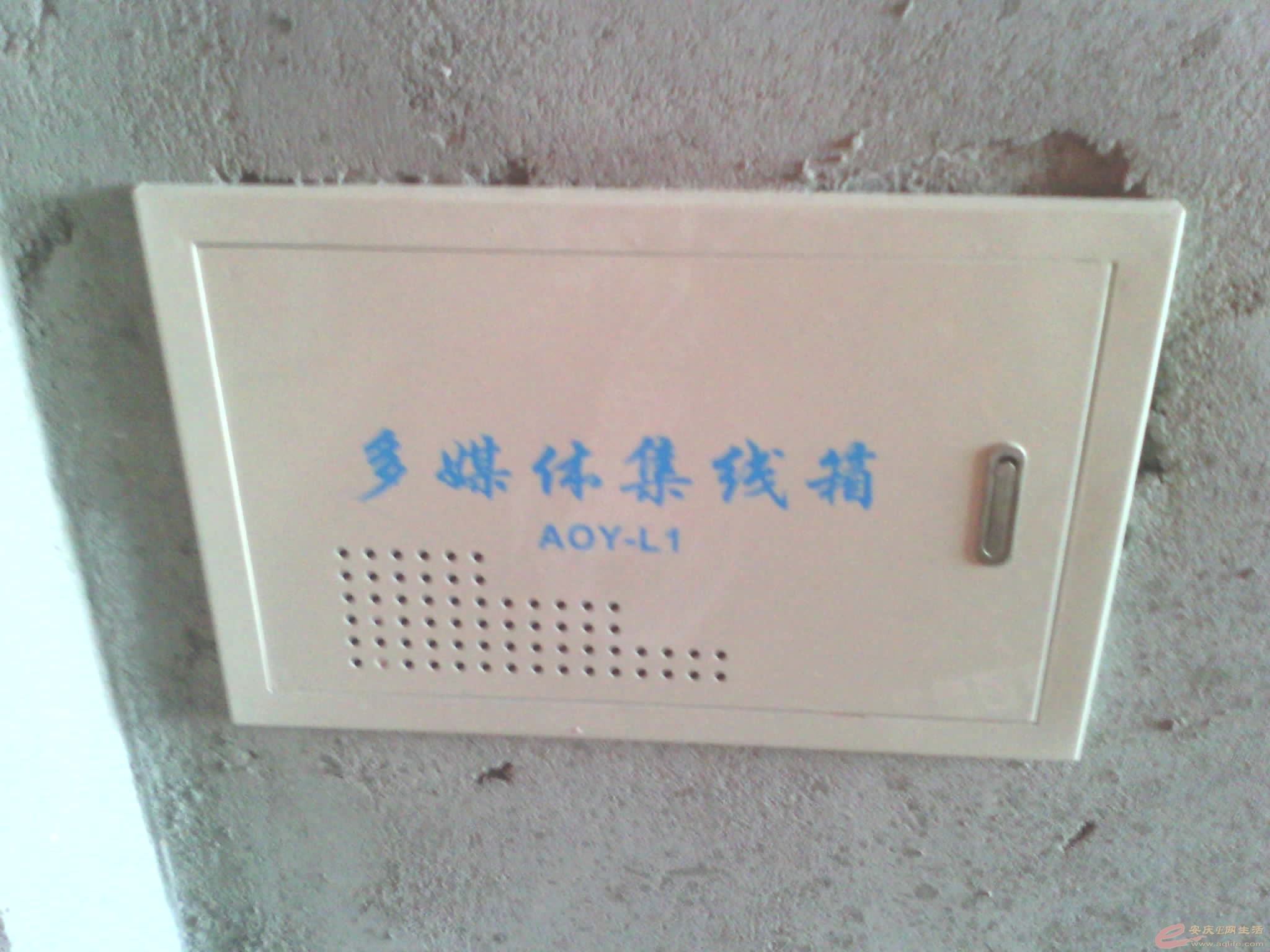 ֪ΪʲôУʲô