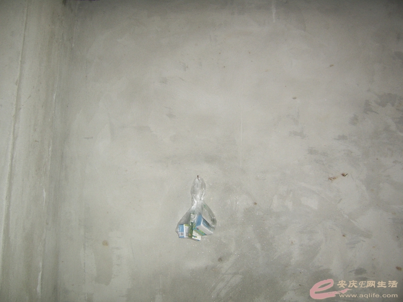 SSA40397.jpg