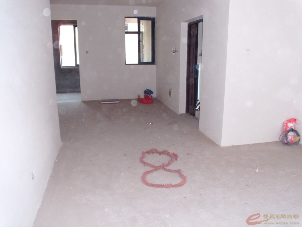 DSCI0234_conew1.jpg
