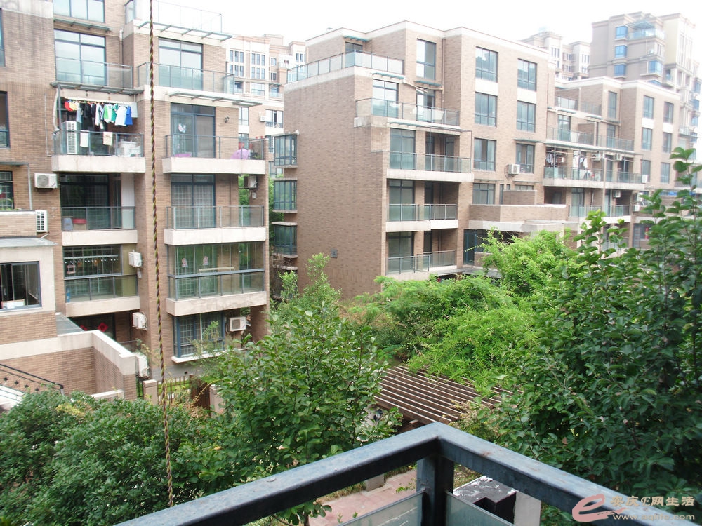 DSCI0273.JPG