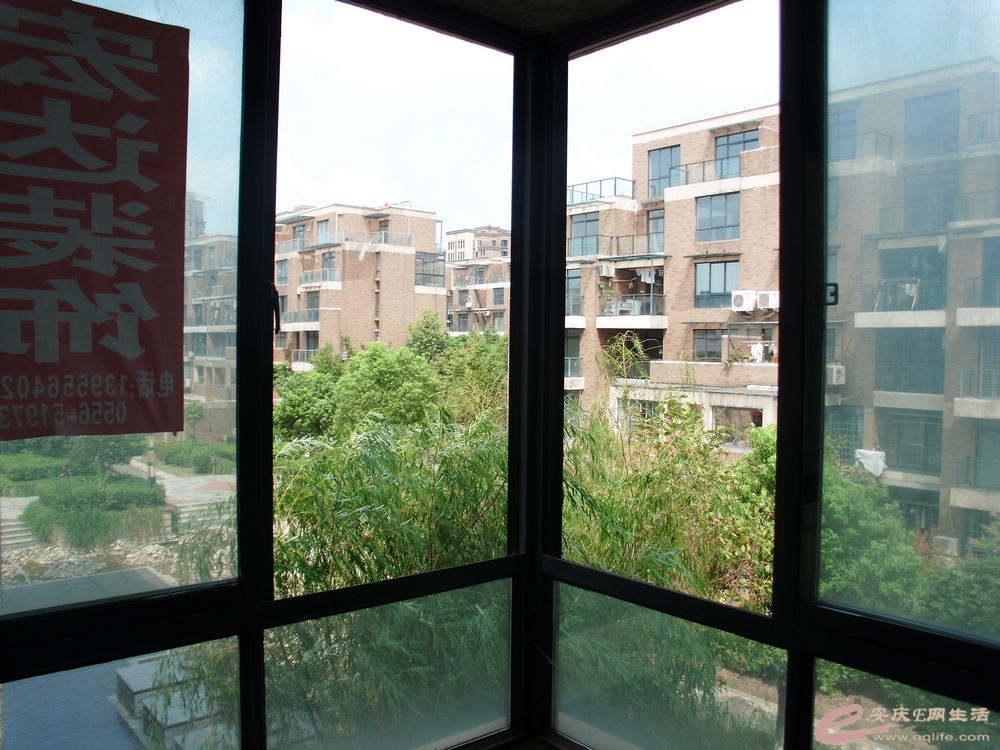 DSCI0275.JPG