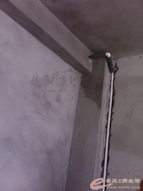 IMG_20130821_151532660.jpg