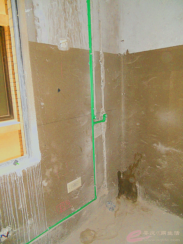 DSCN6323.JPG