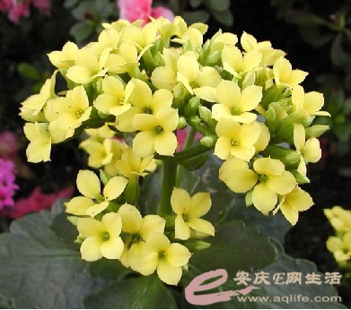 2011.6.25_11.40.23_6327.jpg