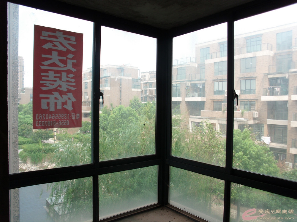 DSCI0274.JPG