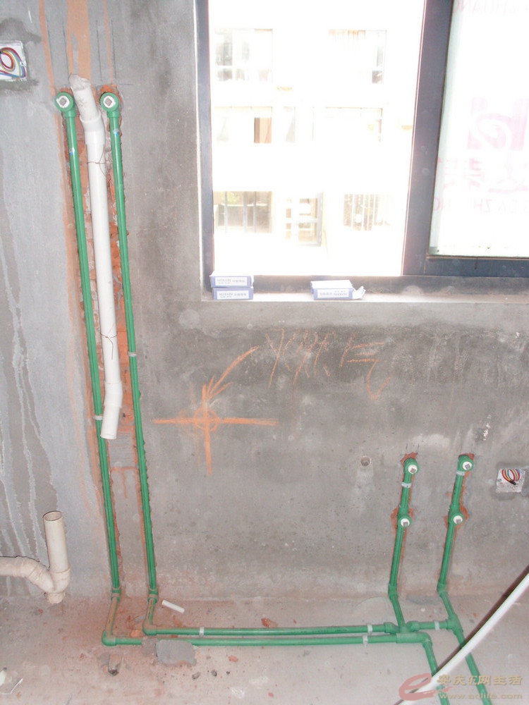 DSCI0389.JPG