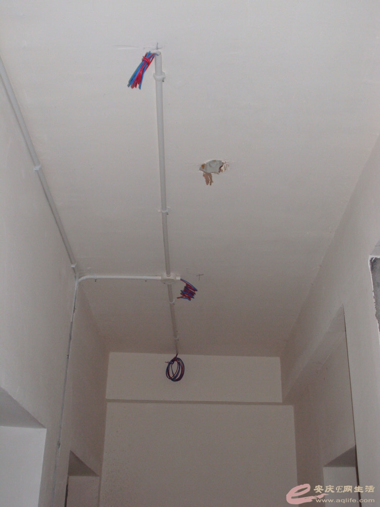 DSCI0430.JPG