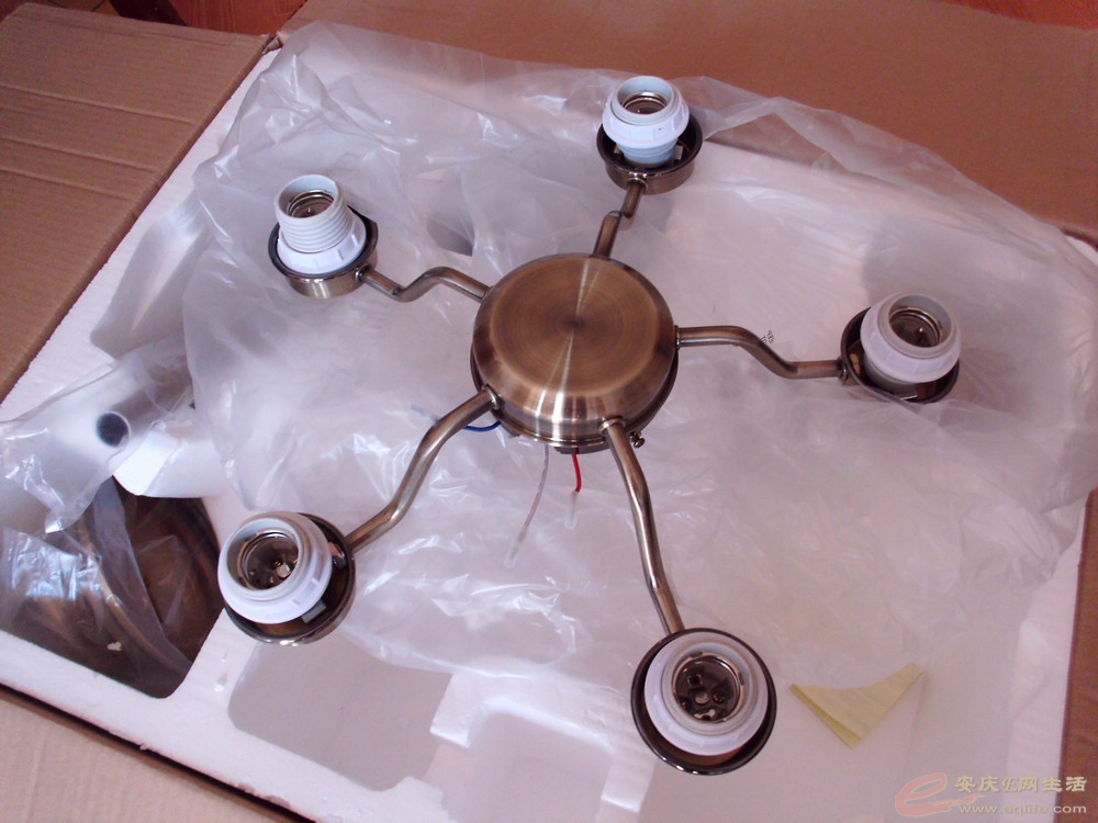DSCI0499.JPG