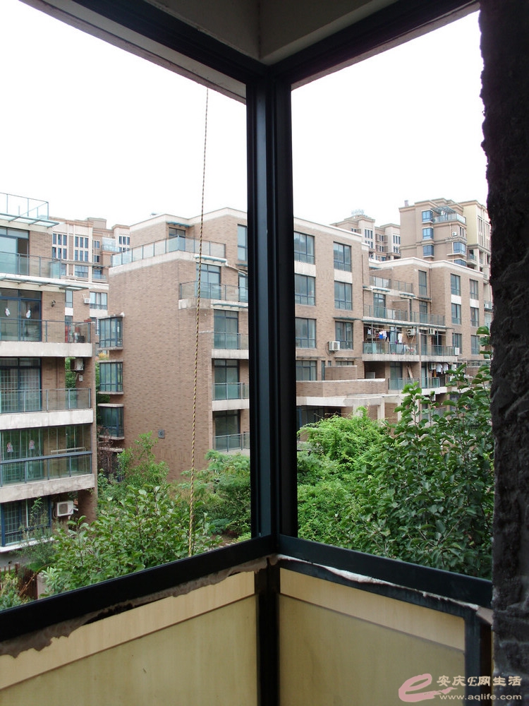 DSCI0560.JPG