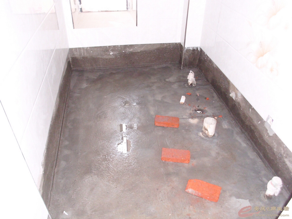 DSCI0630.JPG