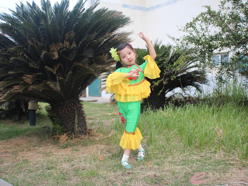 第一届全国校园黄梅戏演唱大赛(少年组)