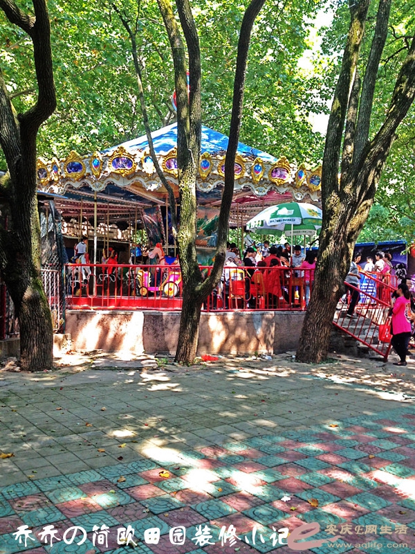 IMG_2091_.jpg