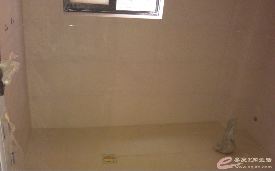 p5.jpg