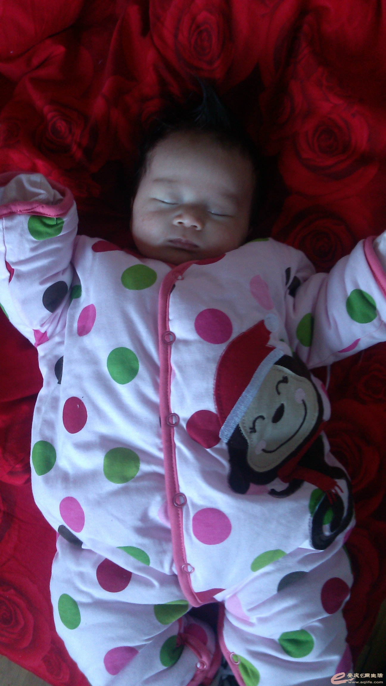 c360_2013-03-14-15-46-50_org.jpg