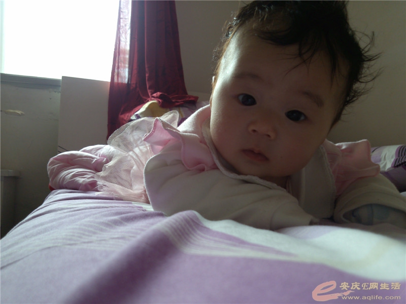 CAM00152.jpg