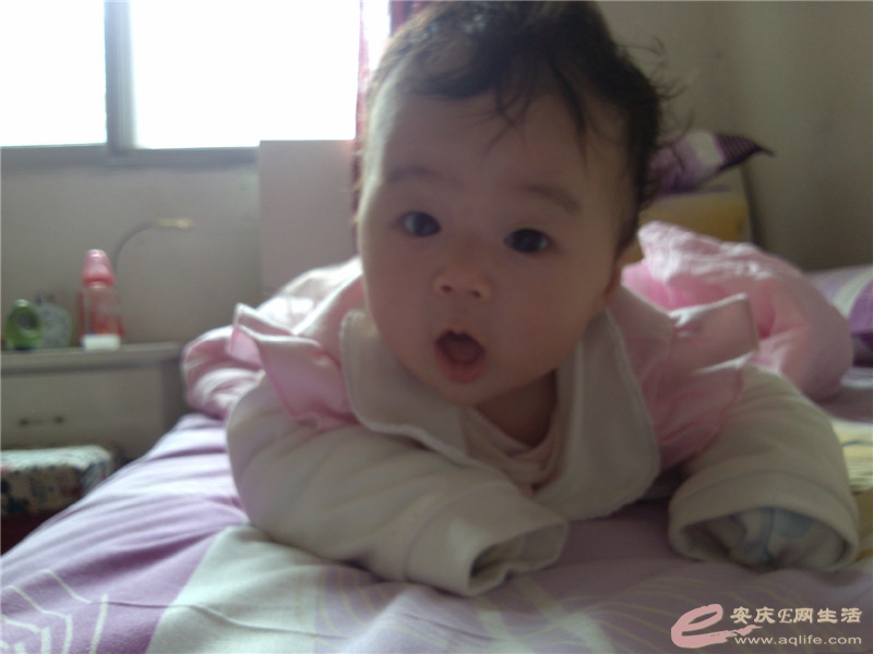 CAM00147.jpg