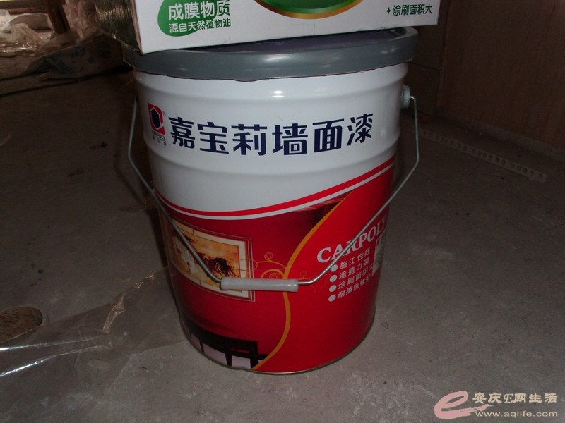 DSCI0867.JPG