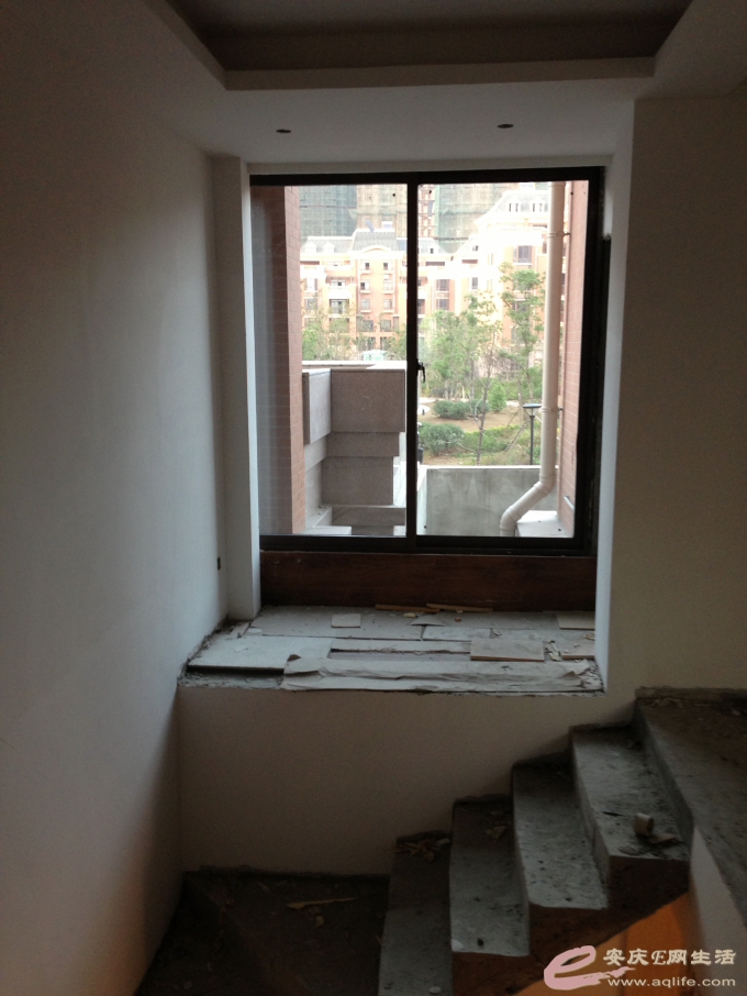 DPP_0010.JPG