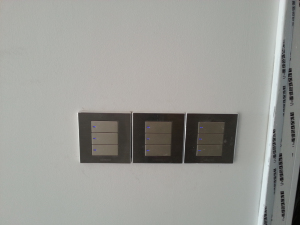 20131130_110516.jpg
