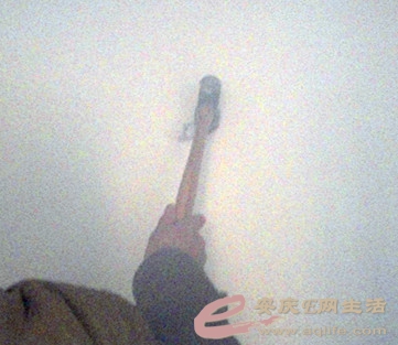 DSC03424_.jpg