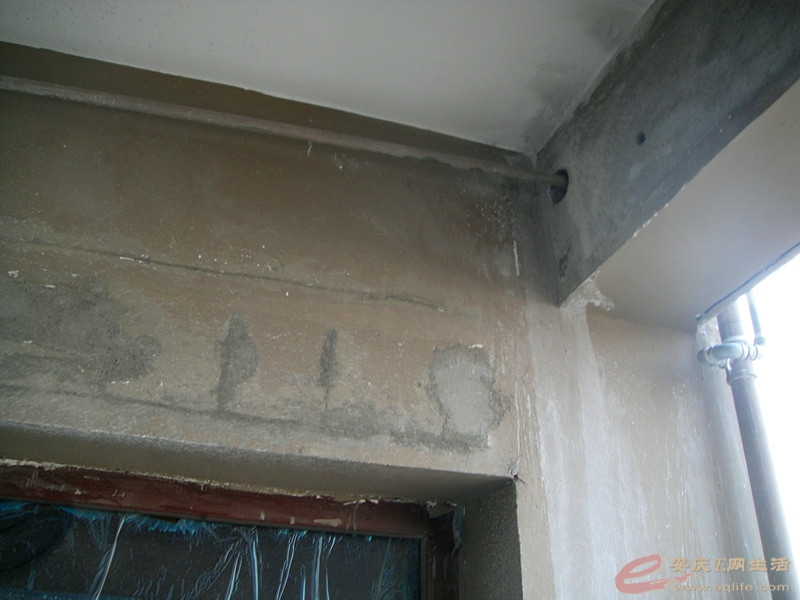 DSC03473_.jpg
