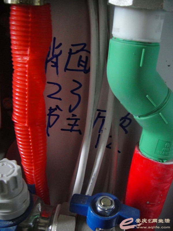 DSC03578_.jpg