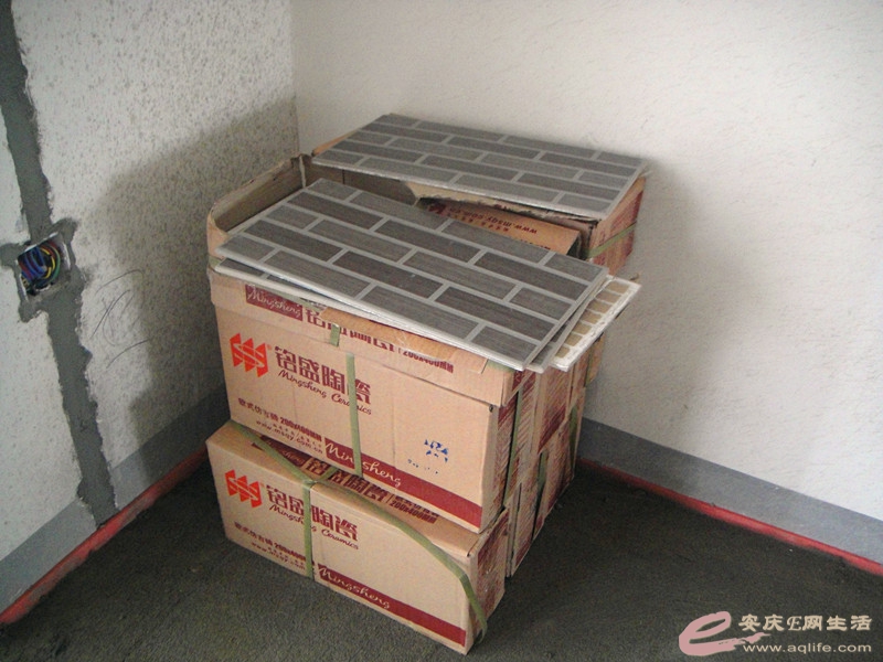 DSC03590_.jpg